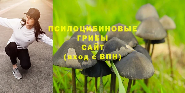а пвп мука Бронницы