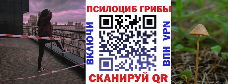 Галлюциногенные грибы GOLDEN TEACHER  даркнет наркотические препараты  Михайловск 